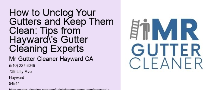 How to Unclog Your Gutters and Keep Them Clean: Tips from Hayward's Gutter Cleaning Experts 