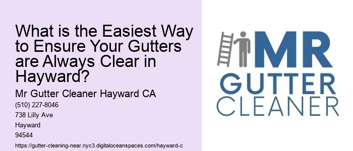 What is the Easiest Way to Ensure Your Gutters are Always Clear in Hayward?
