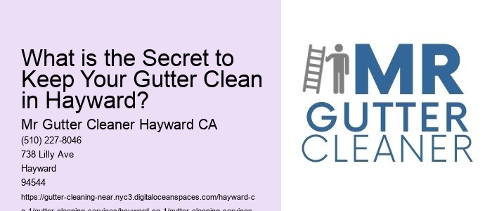 What is the Secret to Keep Your Gutter Clean in Hayward? 