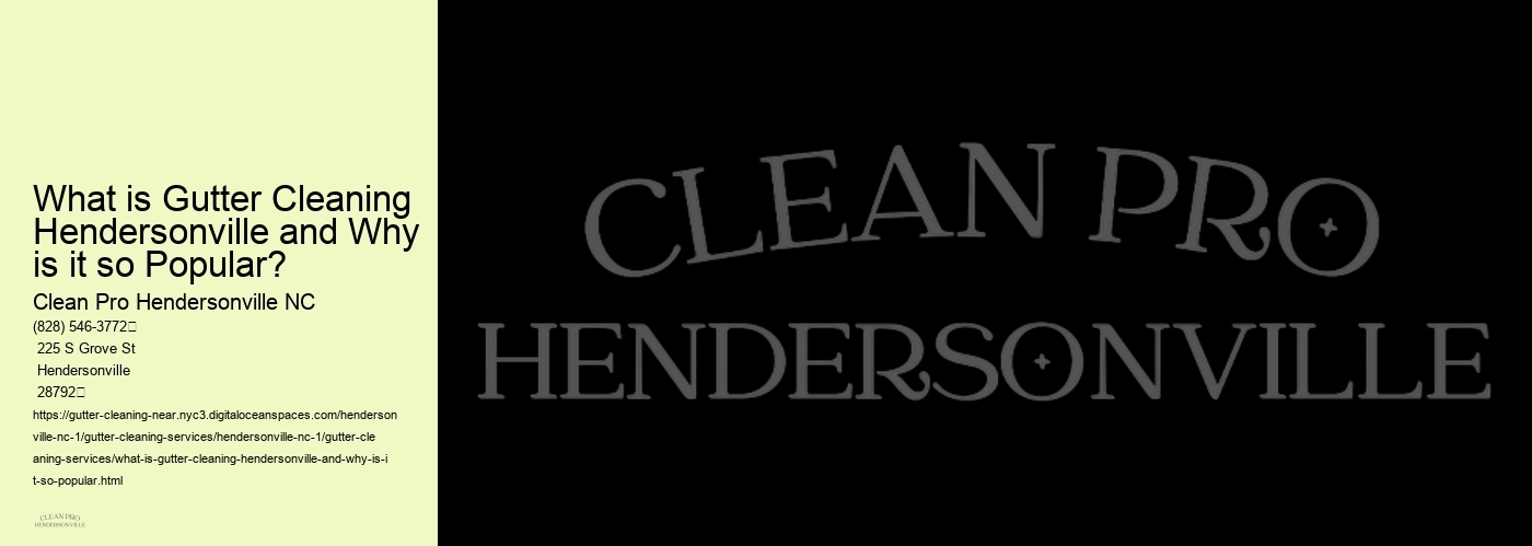 What is Gutter Cleaning Hendersonville and Why is it so Popular?