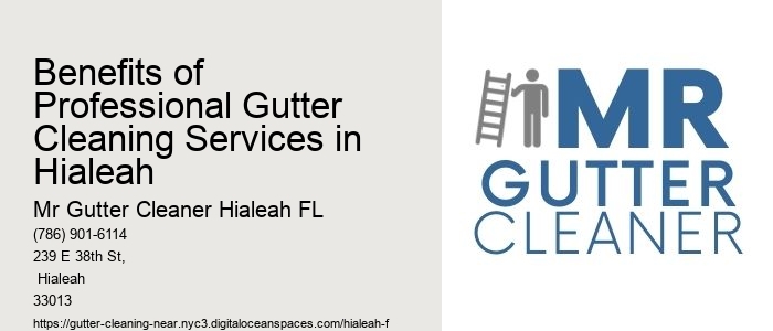 Benefits of Professional Gutter Cleaning Services in Hialeah 