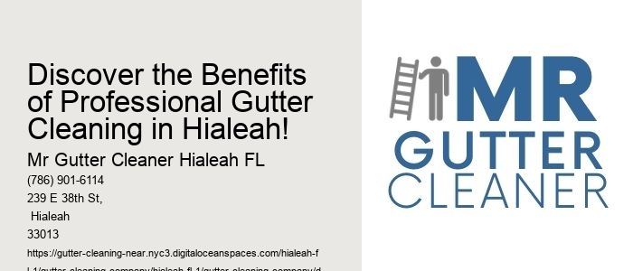 Discover the Benefits of Professional Gutter Cleaning in Hialeah!