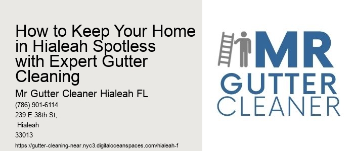 How to Keep Your Home in Hialeah Spotless with Expert Gutter Cleaning 