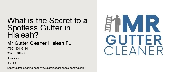What is the Secret to a Spotless Gutter in Hialeah? 