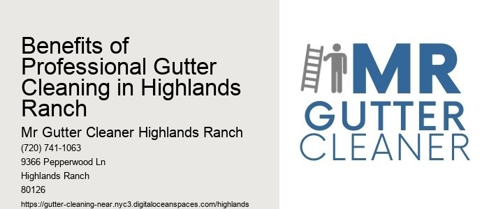 Benefits of Professional Gutter Cleaning in Highlands Ranch 