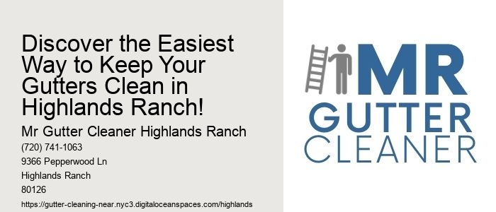Discover the Easiest Way to Keep Your Gutters Clean in Highlands Ranch!