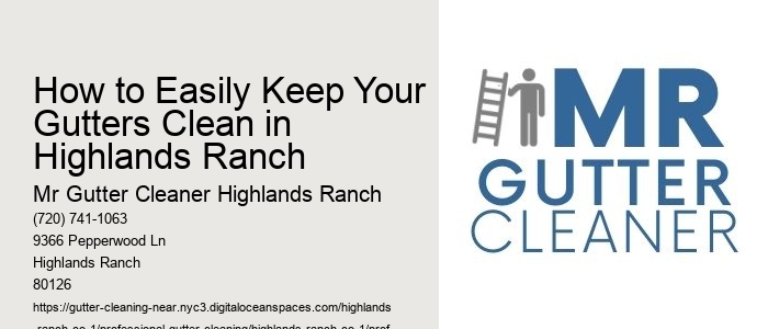 How to Easily Keep Your Gutters Clean in Highlands Ranch 