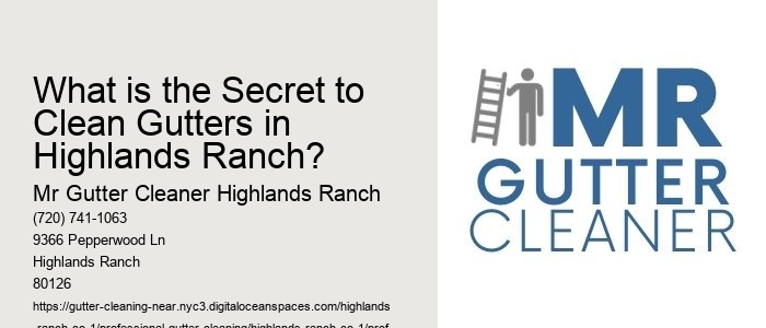 What is the Secret to Clean Gutters in Highlands Ranch? 
