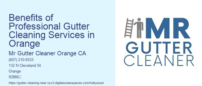 Benefits of Professional Gutter Cleaning Services in Orange