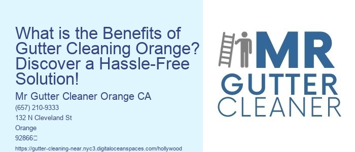 What is the Benefits of Gutter Cleaning Orange? Discover a Hassle-Free Solution!