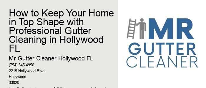 How to Keep Your Home in Top Shape with Professional Gutter Cleaning in Hollywood FL 
