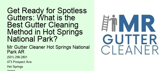 Get Ready for Spotless Gutters: What is the Best Gutter Cleaning Method in Hot Springs National Park?
