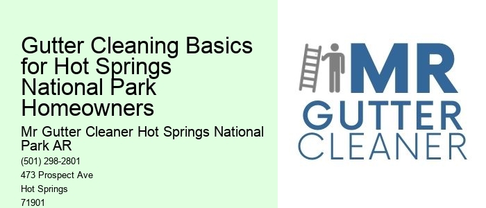 Gutter Cleaning Basics for Hot Springs National Park Homeowners 