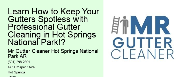 Learn How to Keep Your Gutters Spotless with Professional Gutter Cleaning in Hot Springs National Park!?