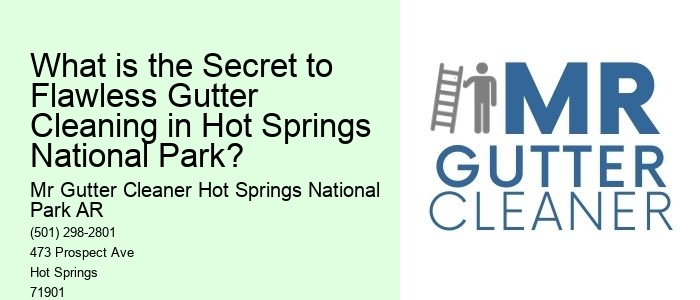 What is the Secret to Flawless Gutter Cleaning in Hot Springs National Park?