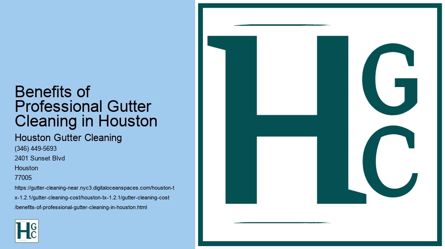 Benefits of Professional Gutter Cleaning in Houston