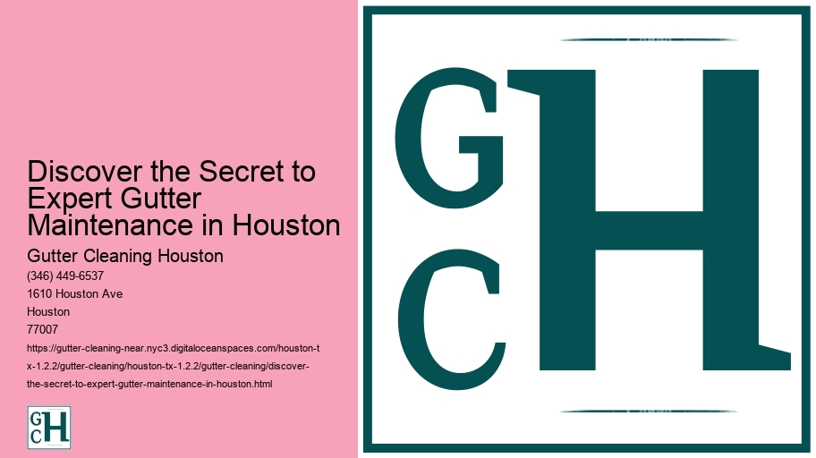 Discover the Secret to Expert Gutter Maintenance in Houston 