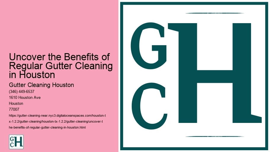 Uncover the Benefits of Regular Gutter Cleaning in Houston 