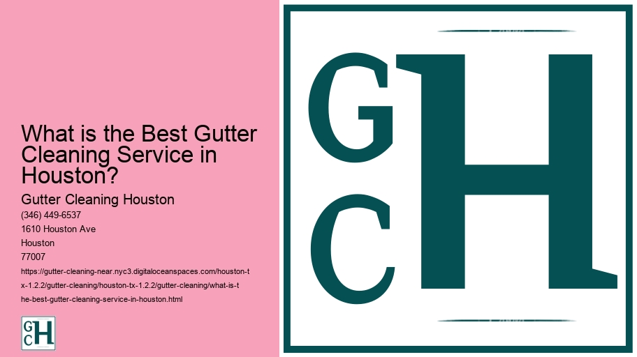 What is the Best Gutter Cleaning Service in Houston? 