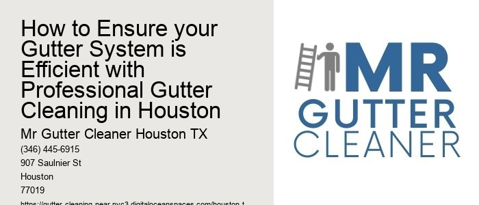 How to Ensure your Gutter System is Efficient with Professional Gutter Cleaning in Houston