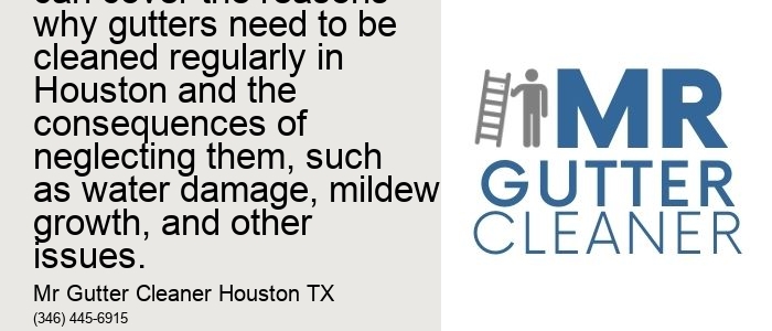 The Importance of Regular Gutter Cleaning in Houston - This topic can cover the reasons why gutters need to be cleaned regularly in Houston and the consequences of neglecting them, such as water damage, mildew growth, and other issues.