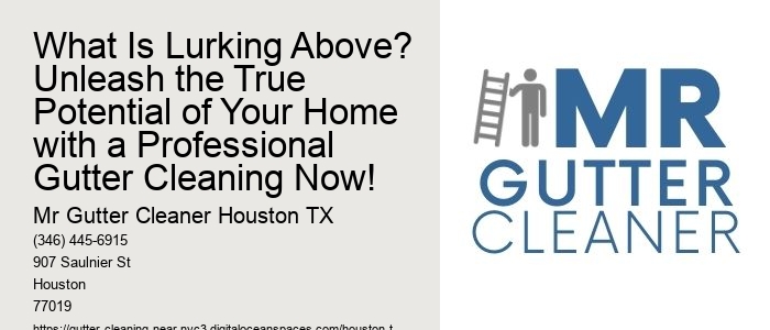 What Is Lurking Above? Unleash the True Potential of Your Home with a Professional Gutter Cleaning Now!