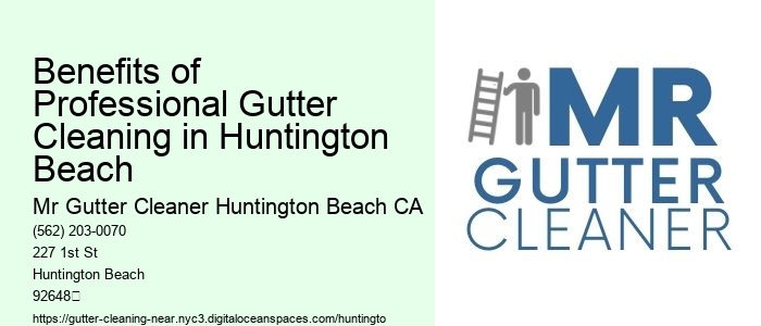 Benefits of Professional Gutter Cleaning in Huntington Beach 