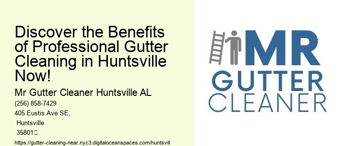 Discover the Benefits of Professional Gutter Cleaning in Huntsville Now!