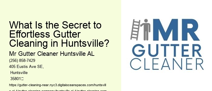 What Is the Secret to Effortless Gutter Cleaning in Huntsville?