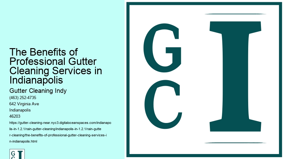 The Benefits of Professional Gutter Cleaning Services in Indianapolis 