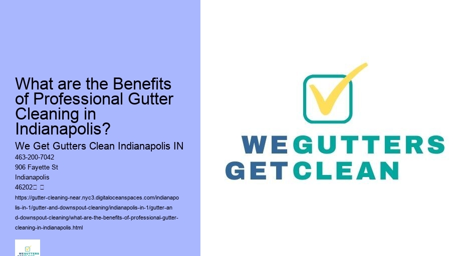 What are the Benefits of Professional Gutter Cleaning in Indianapolis?