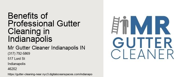 Benefits of Professional Gutter Cleaning in Indianapolis 