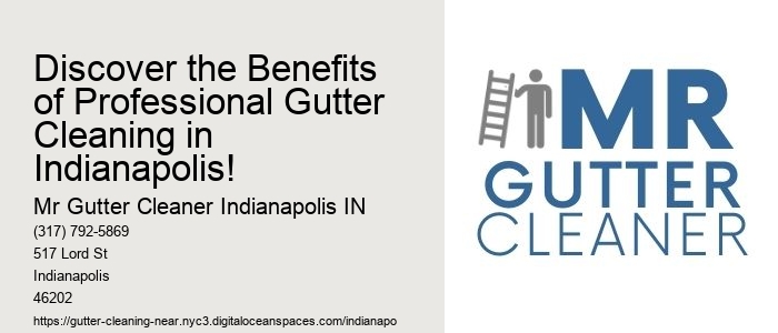 Discover the Benefits of Professional Gutter Cleaning in Indianapolis!