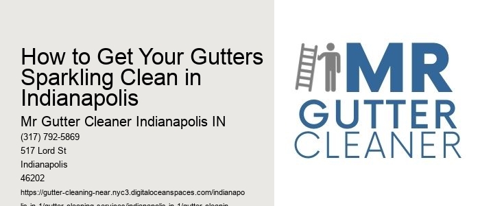 How to Get Your Gutters Sparkling Clean in Indianapolis 