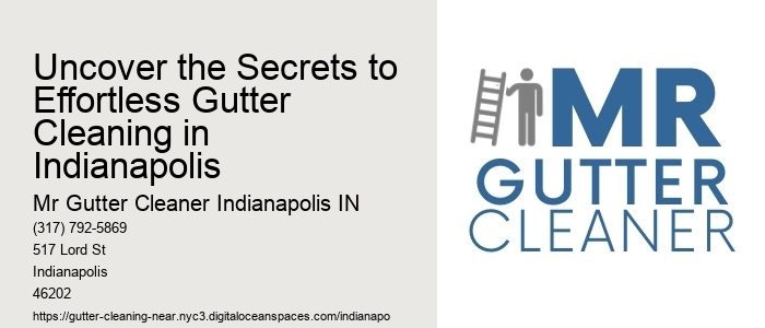 Uncover the Secrets to Effortless Gutter Cleaning in Indianapolis