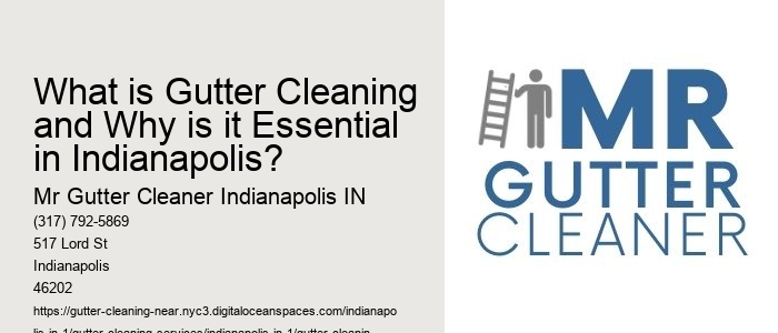 What is Gutter Cleaning and Why is it Essential in Indianapolis? 