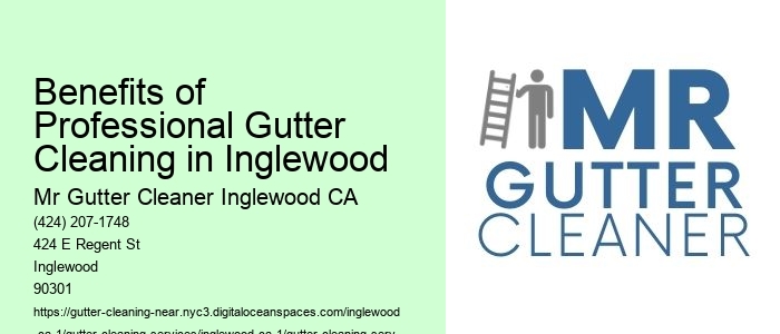 Benefits of Professional Gutter Cleaning in Inglewood 