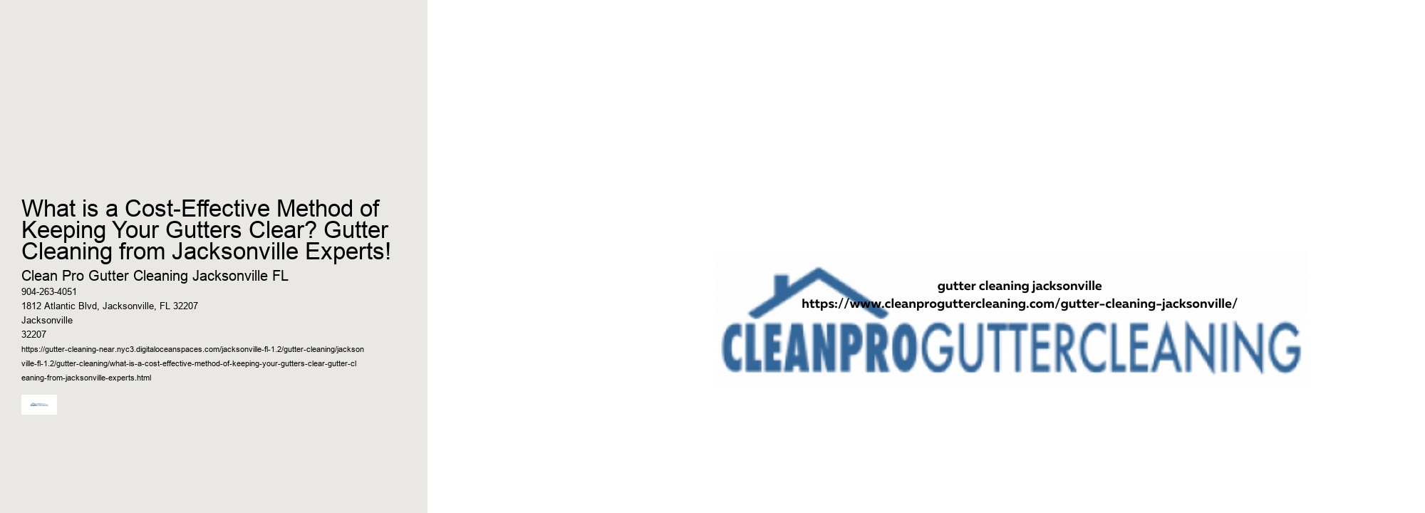 What is a Cost-Effective Method of Keeping Your Gutters Clear? Gutter Cleaning from Jacksonville Experts!
