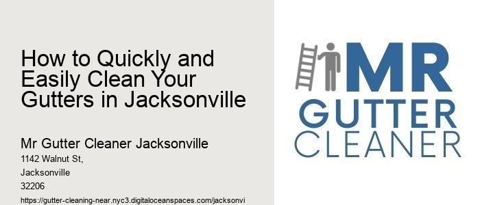 How to Quickly and Easily Clean Your Gutters in Jacksonville 