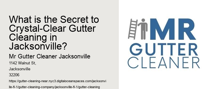 What is the Secret to Crystal-Clear Gutter Cleaning in Jacksonville? 