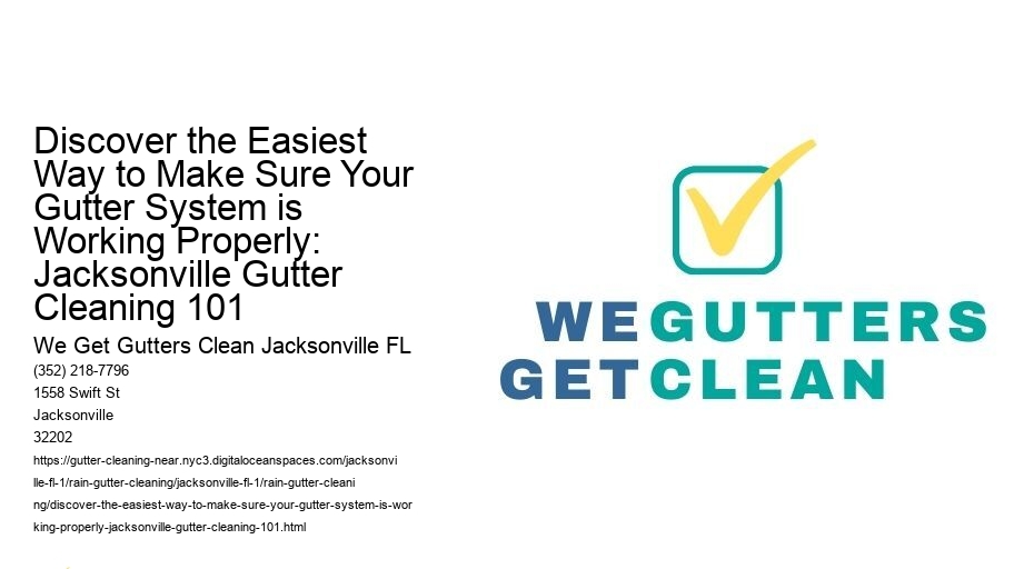 Discover the Easiest Way to Make Sure Your Gutter System is Working Properly: Jacksonville Gutter Cleaning 101
