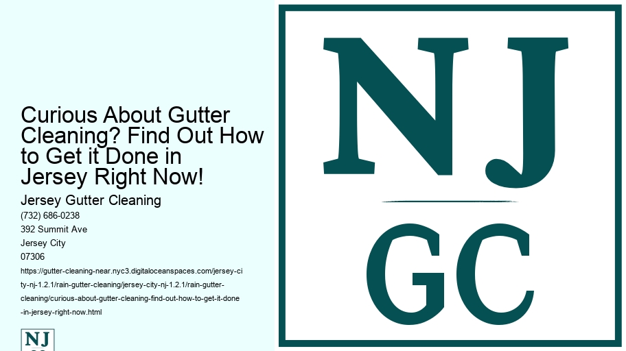 Curious About Gutter Cleaning? Find Out How to Get it Done in Jersey Right Now! 