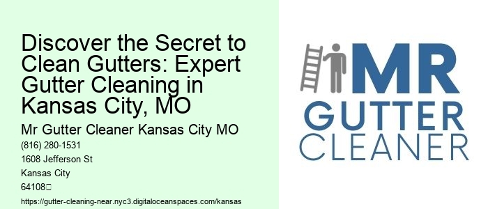 Discover the Secret to Clean Gutters: Expert Gutter Cleaning in Kansas City, MO