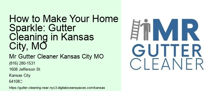 How to Make Your Home Sparkle: Gutter Cleaning in Kansas City, MO 