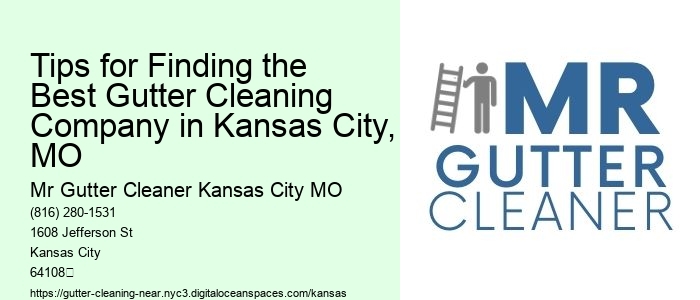 Tips for Finding the Best Gutter Cleaning Company in Kansas City, MO 