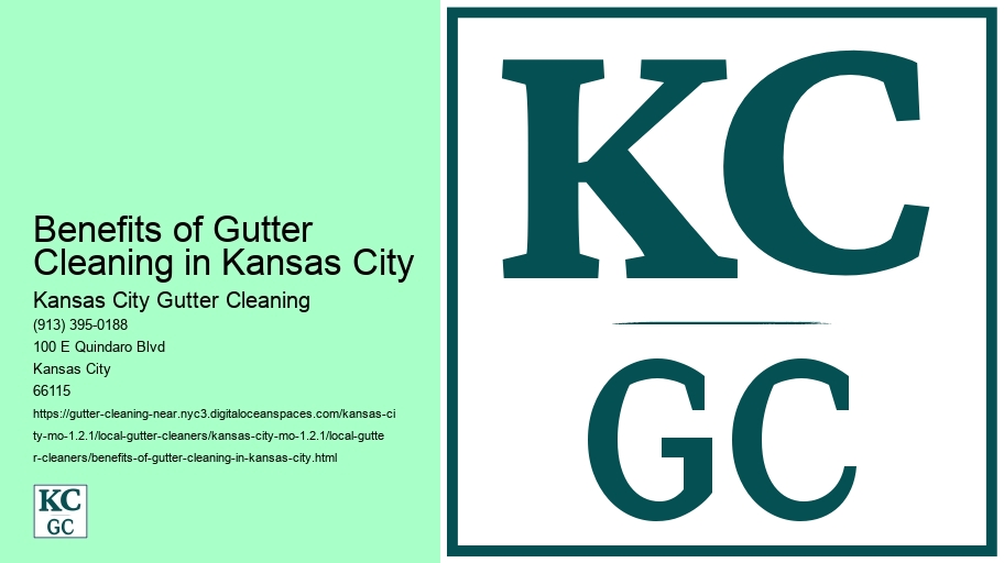 Benefits of Gutter Cleaning in Kansas City