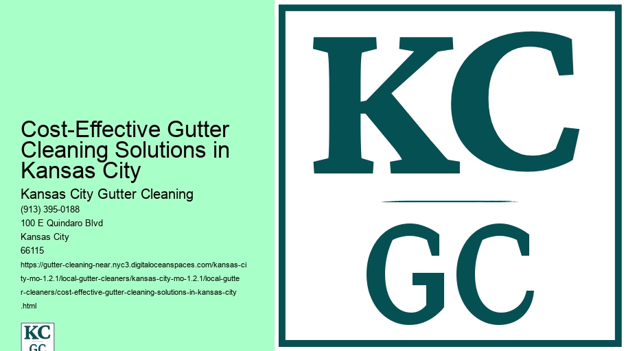Cost-Effective Gutter Cleaning Solutions in Kansas City