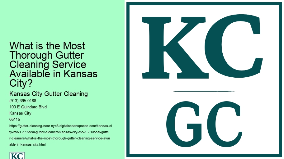 What is the Most Thorough Gutter Cleaning Service Available in Kansas City? 