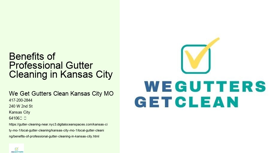 Benefits of Professional Gutter Cleaning in Kansas City 