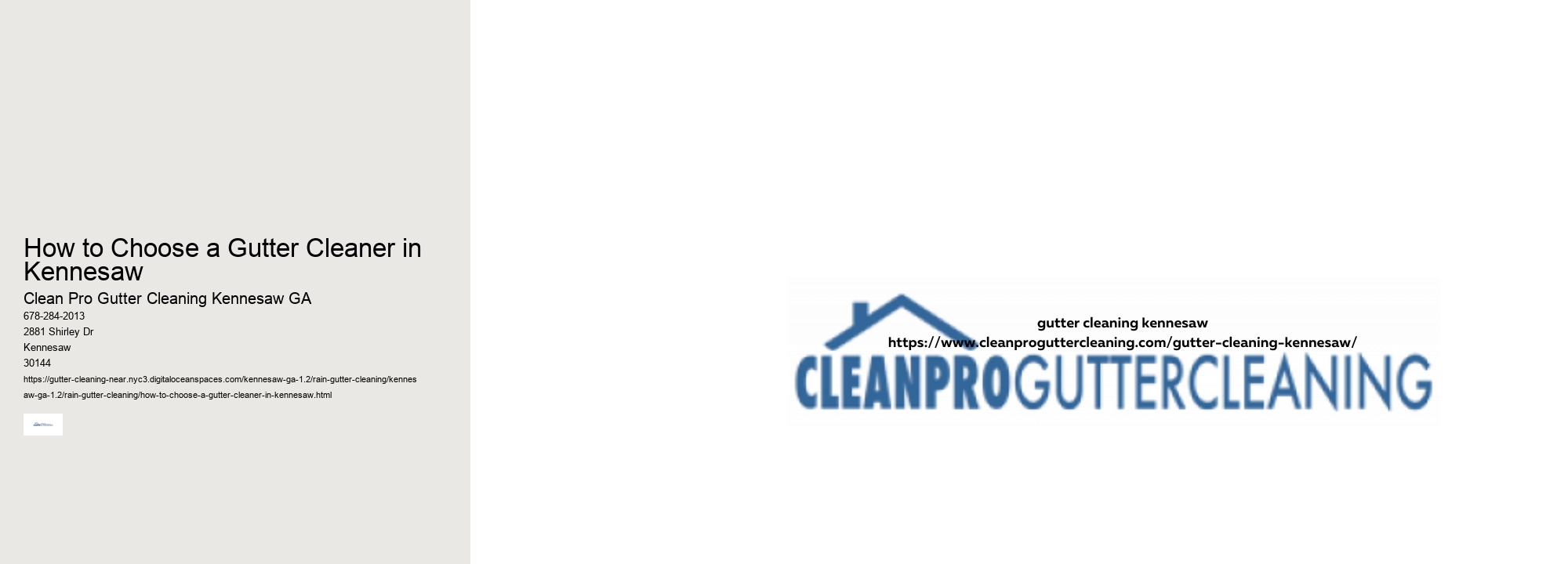 How to Choose a Gutter Cleaner in Kennesaw 